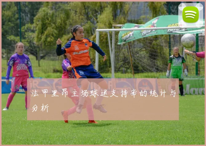 法甲里昂主场球迷支持率的统计与分析